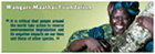 Wangari Maathai Foundation